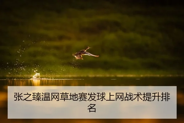 张之臻温网草地赛发球上网战术提升排名