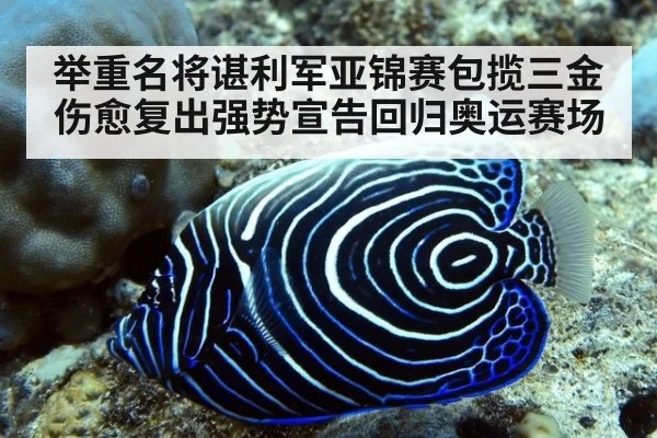 举重名将谌利军亚锦赛包揽三金 伤愈复出强势宣告回归奥运赛场