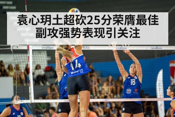 volleyball match