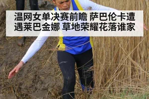 温网女单决赛前瞻 萨巴伦卡遭遇莱巴金娜 草地荣耀花落谁家